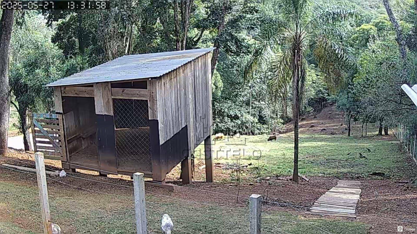 Chácara à venda, 6300M2 - Foto 10
