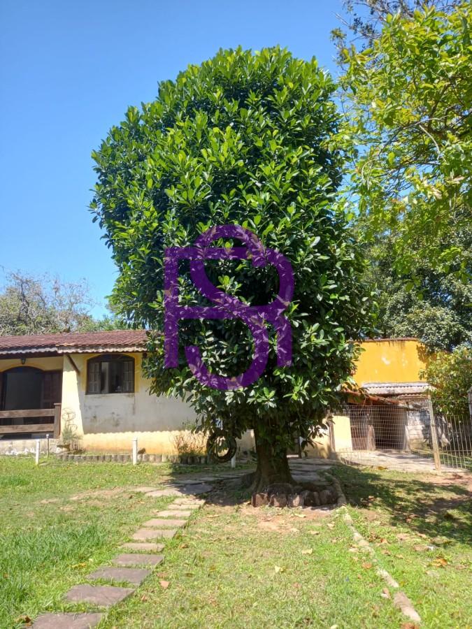 Chácara, 7 quartos, 2025 m² - Foto 24