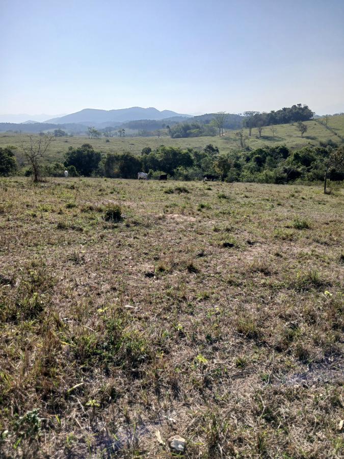 Fazenda à venda com 1 quarto, 96000m² - Foto 16