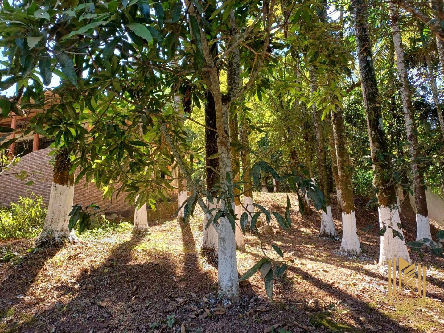 Chácara à venda com 2 quartos, 10500M2 - Foto 13