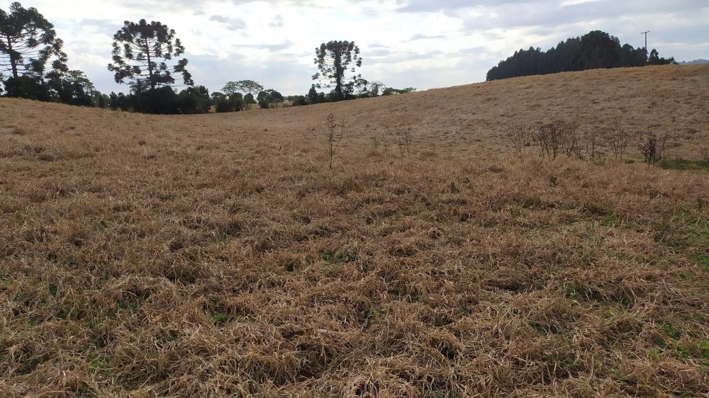 Fazenda à venda, 60m² - Foto 25