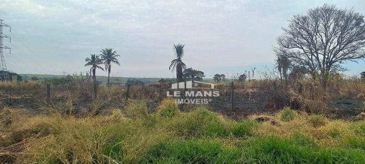 Terreno, 1 hectares - Foto 4