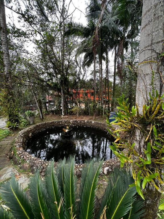 Terreno, 6841 m² - Foto 4