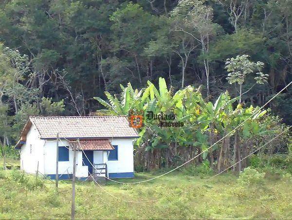 Fazenda à venda com 5 quartos, 1331000M2 - Foto 78