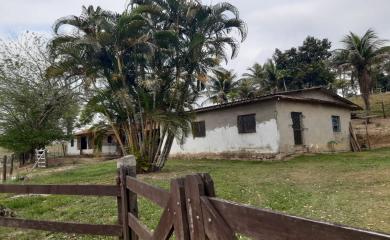 Sítio à venda com 3 quartos, 87000m² - Foto 15