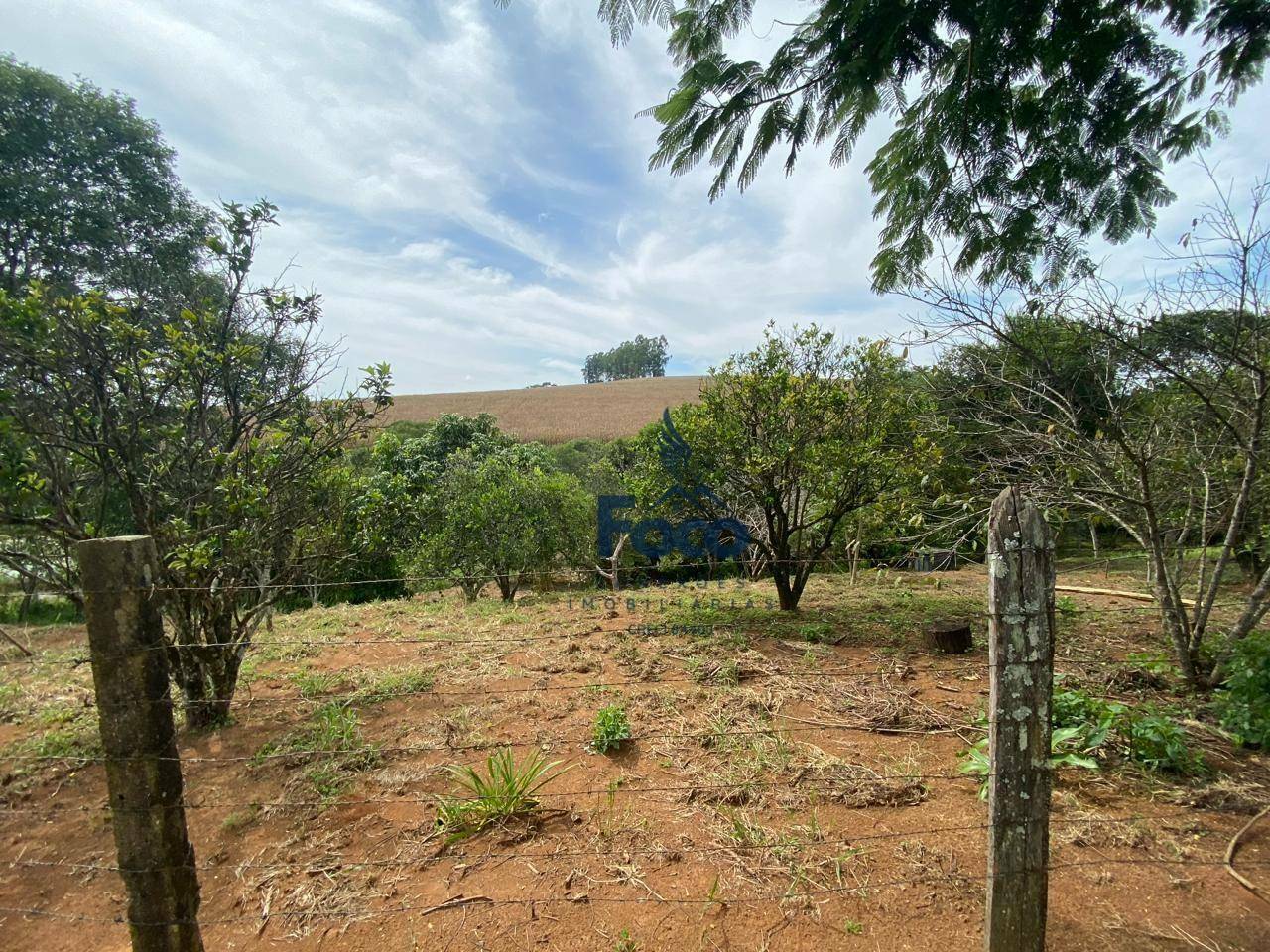 Chácara à venda com 1 quarto, 17000M2 - Foto 10