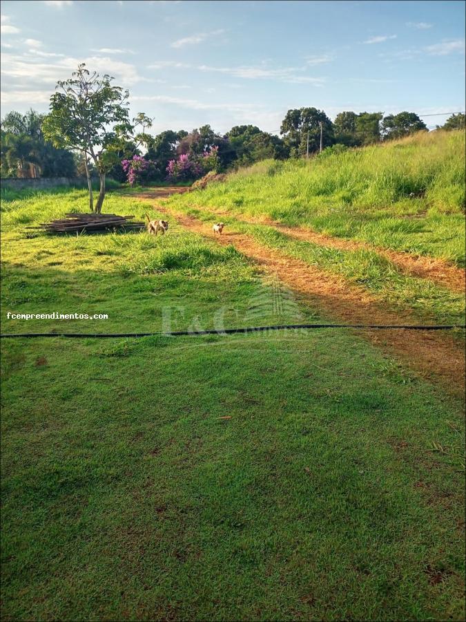 Fazenda à venda com 3 quartos, 3333m² - Foto 2