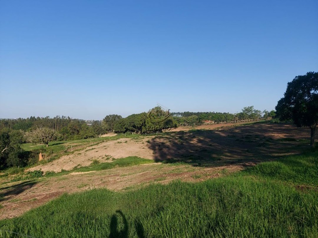 Haras e Área Rural Padrão à venda com 7 quartos, 242000m² - Foto 19