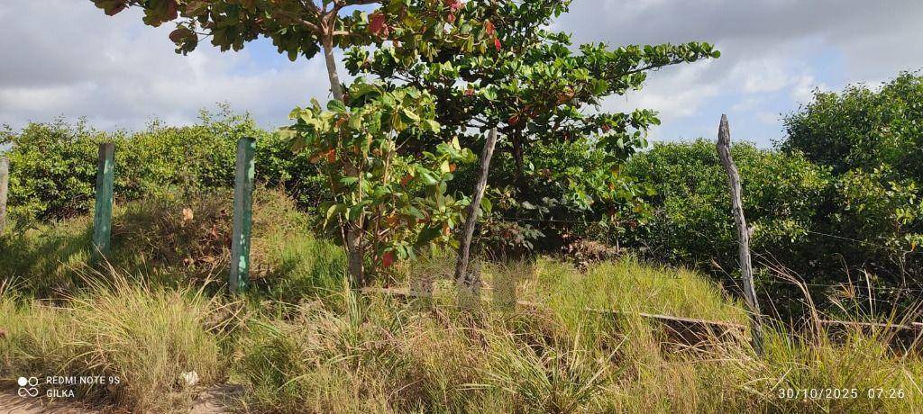 Terreno, 900 m² - Foto 5