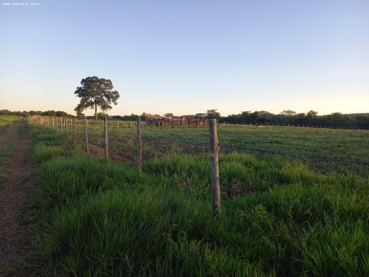 Fazenda à venda, 107000m² - Foto 3