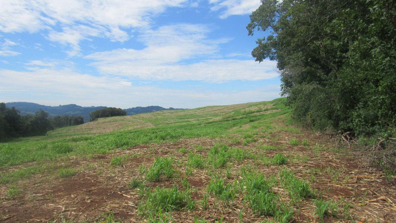 Loteamento e Condomínio à venda, 60000m² - Foto 9