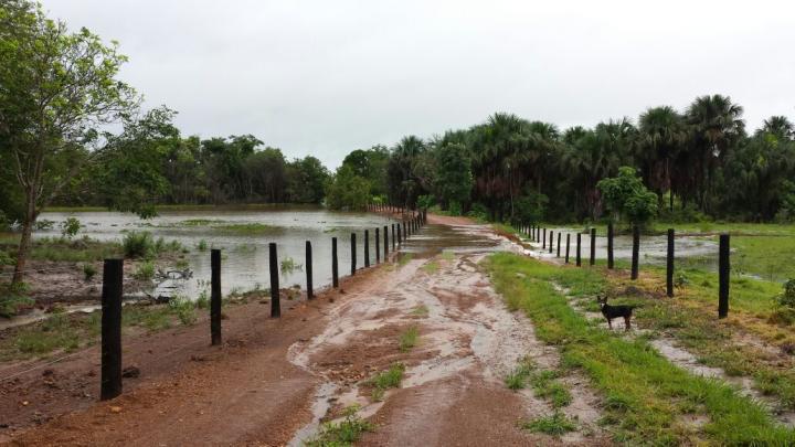 Chácara à venda com 3 quartos - Foto 9