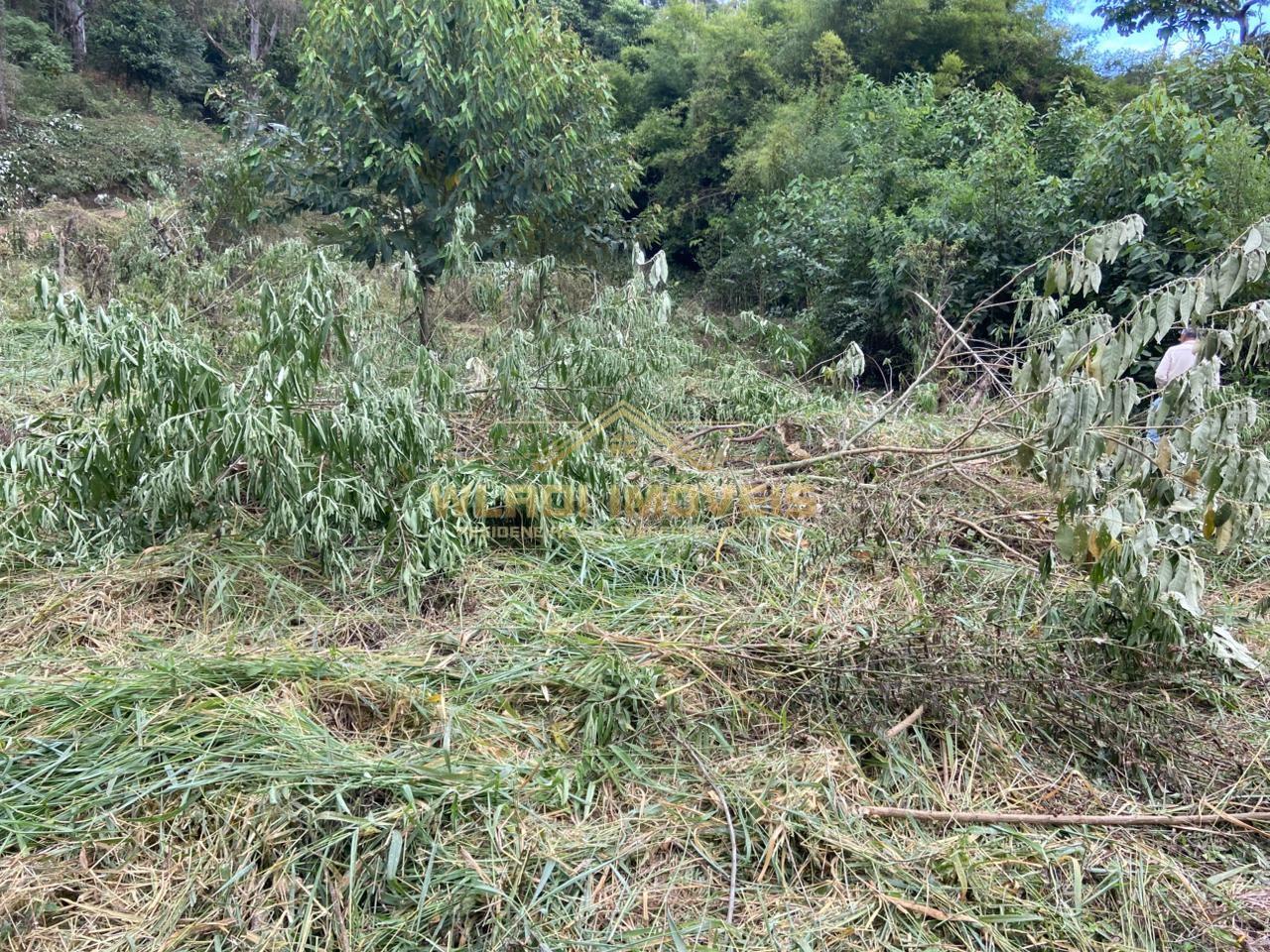 Terreno à venda, 40000m² - Foto 22