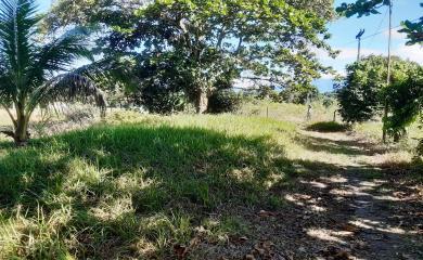 Fazenda à venda com 2 quartos, 18000m² - Foto 11