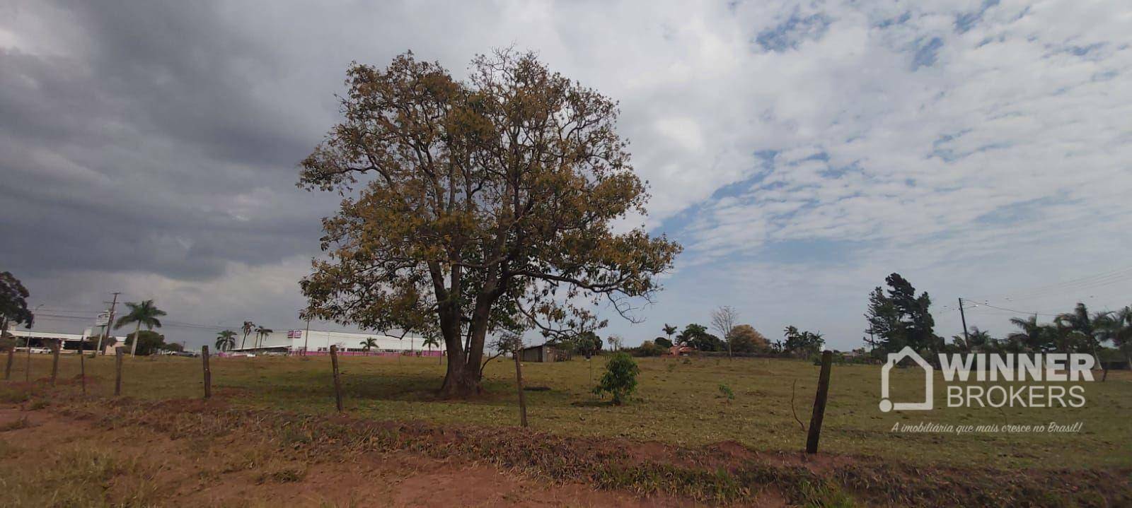 Terreno à venda, 11000M2 - Foto 9