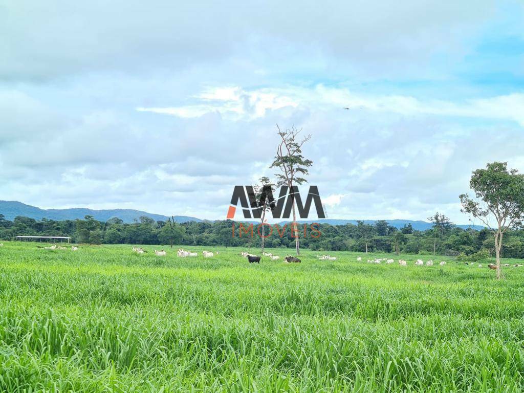 Fazenda à venda, 19360000M2 - Foto 10