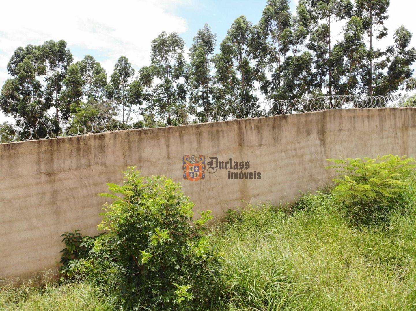 Terreno, 11 hectares - Foto 2