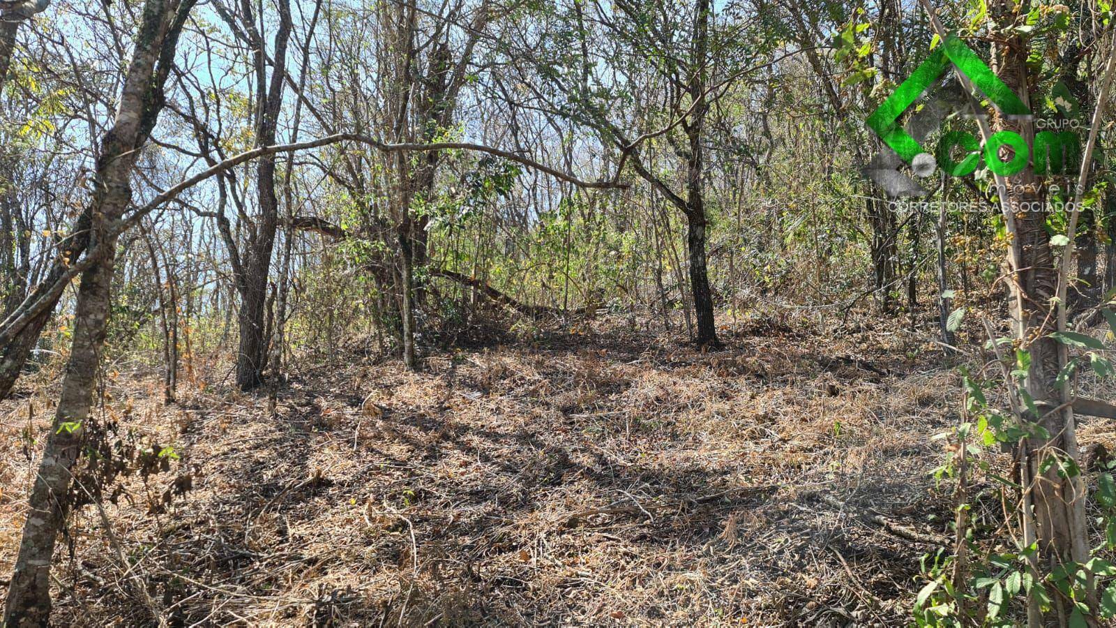 Loteamento e Condomínio à venda, 3600M2 - Foto 33