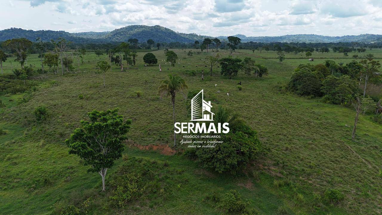 Fazenda-Sítio-Chácara, 220 hectares - Foto 2