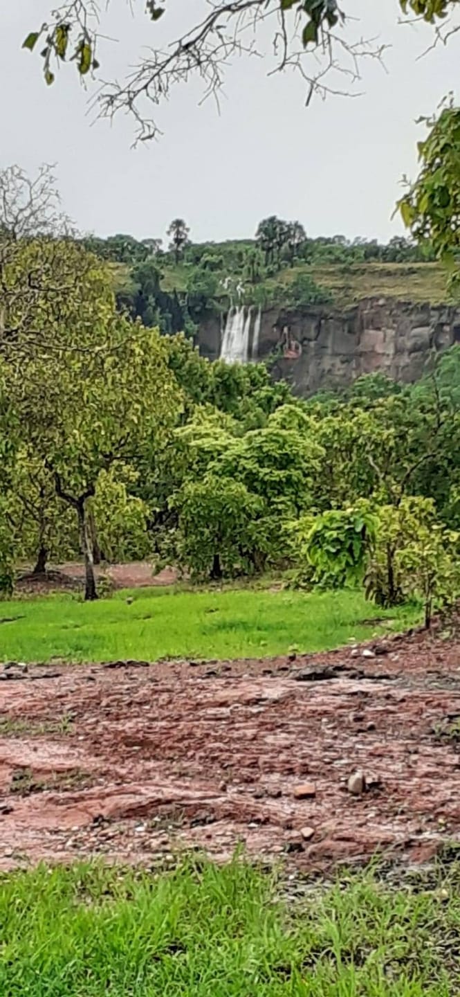 Fazenda à venda com 3 quartos, 10m² - Foto 1