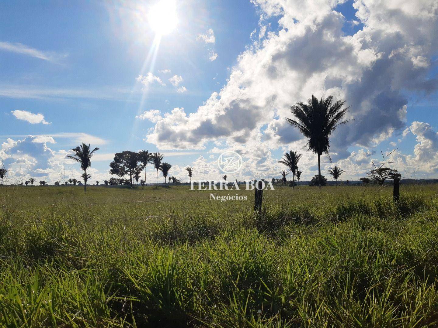 Fazenda à venda, 16000000M2 - Foto 23