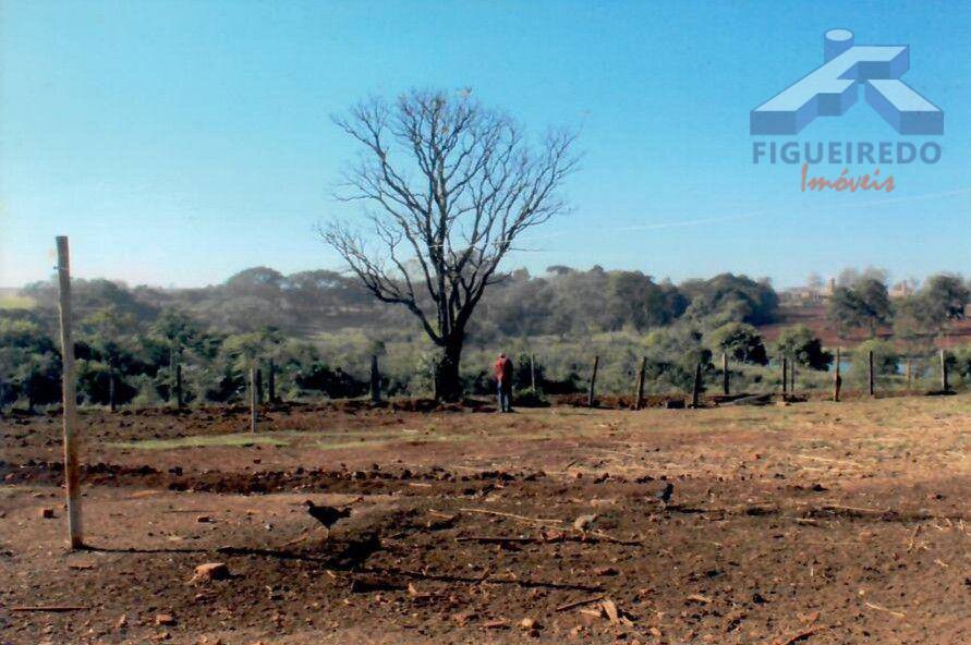 Sítio, 4 hectares - Foto 30