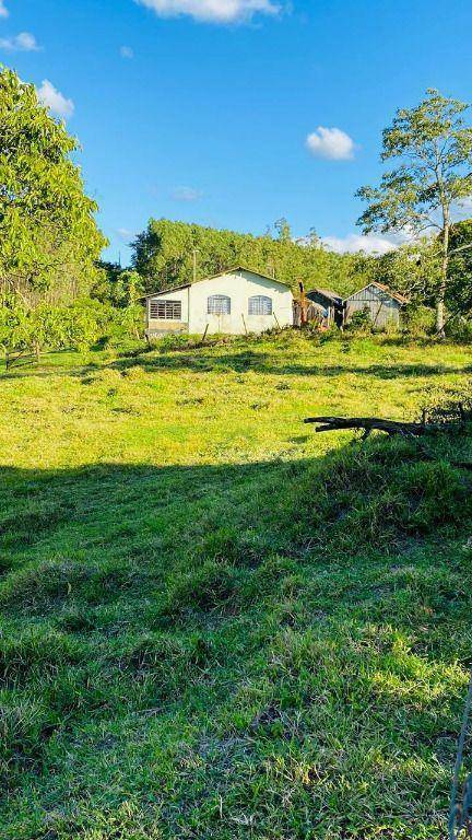 Fazenda, 286 hectares - Foto 12