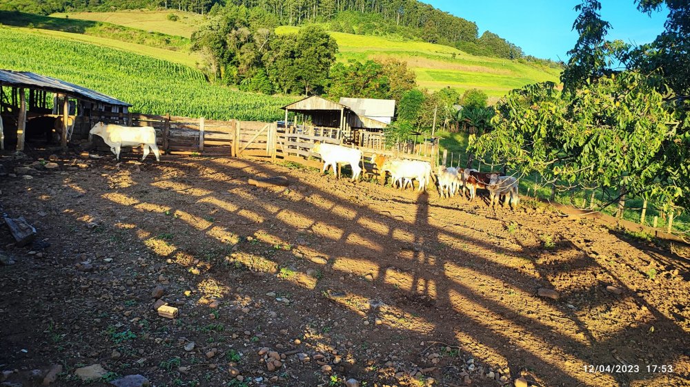 Fazenda à venda, 24m² - Foto 2