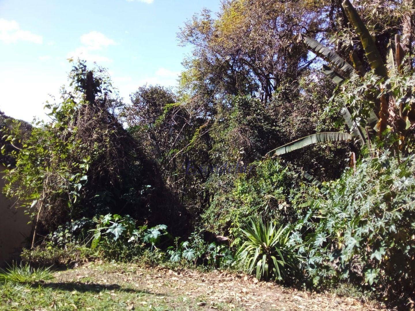 Loteamento e Condomínio à venda, 1302M2 - Foto 7