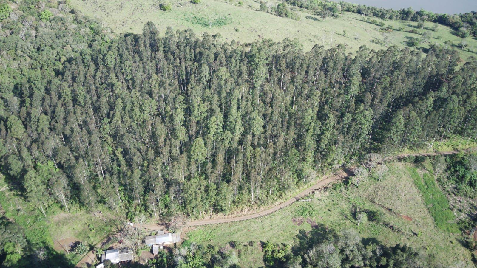 Terreno à venda, 40000m² - Foto 4