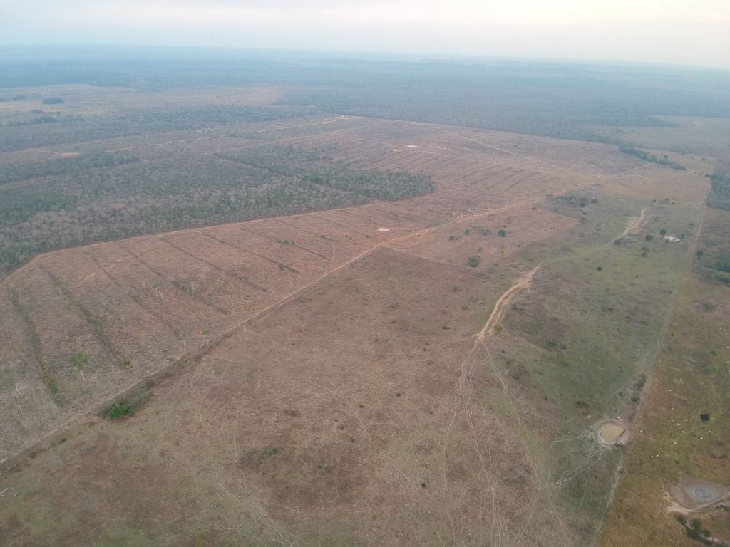 Fazenda à venda, 4356000M2 - Foto 25