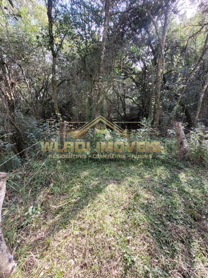 Fazenda-Sítio-Chácara, 315 m² - Foto 9