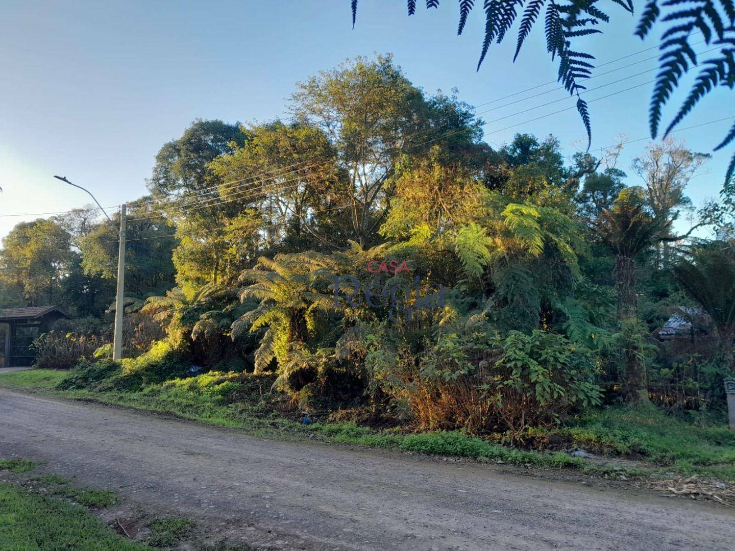 Terreno à venda, 838M2 - Foto 5