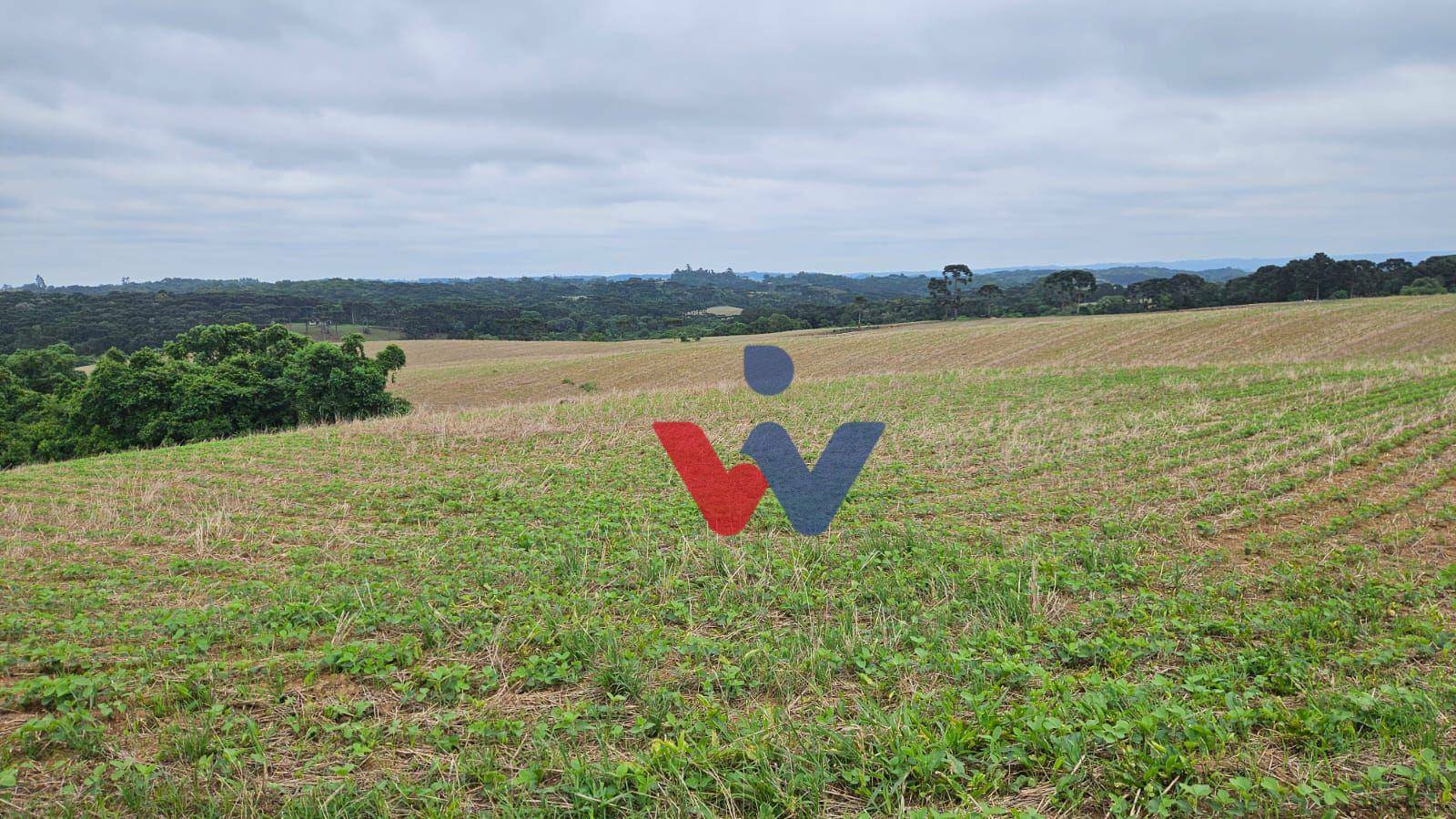 Fazenda à venda com 3 quartos, 1694000M2 - Foto 36