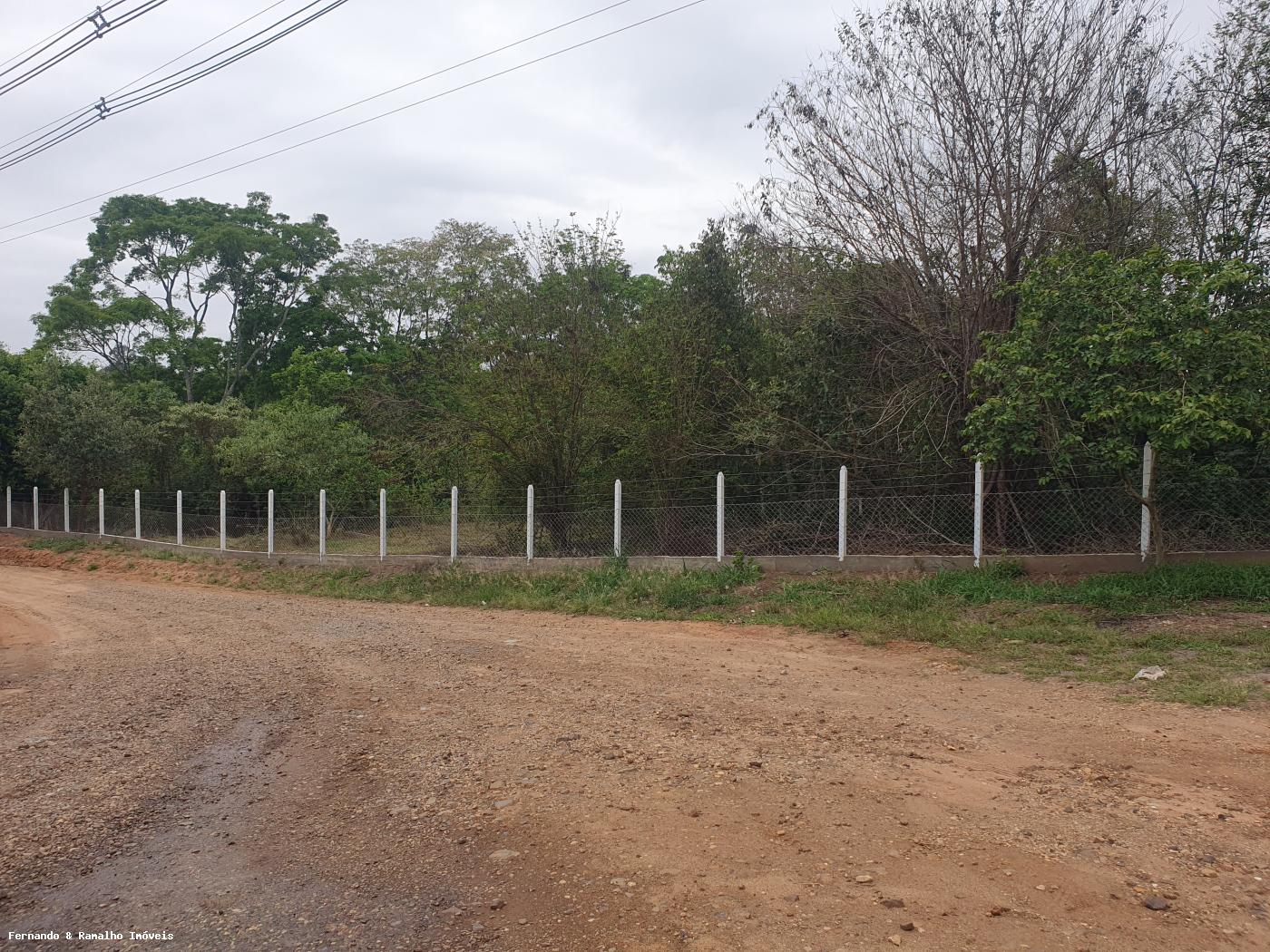 Fazenda à venda com 3 quartos, 80000m² - Foto 1