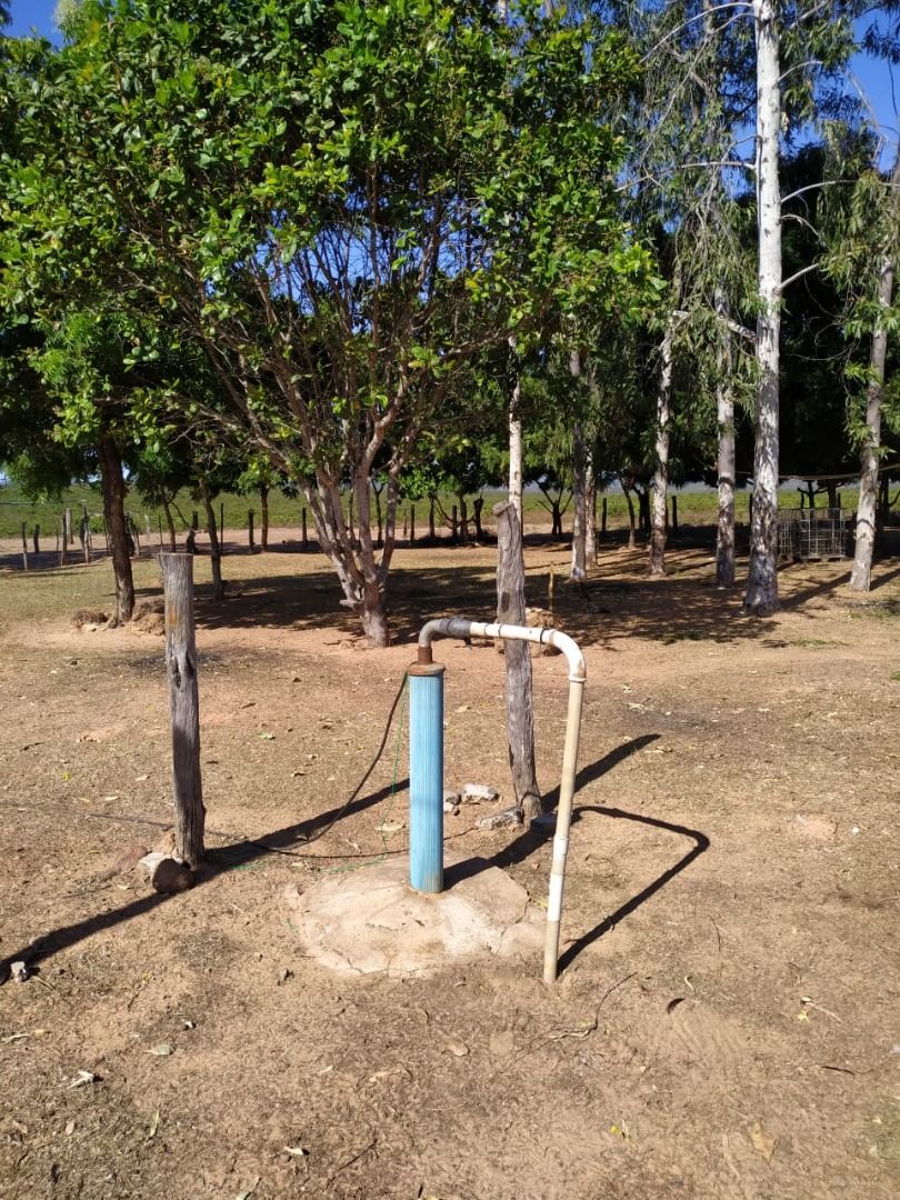 Fazenda à venda com 1 quarto, 17800000M2 - Foto 4