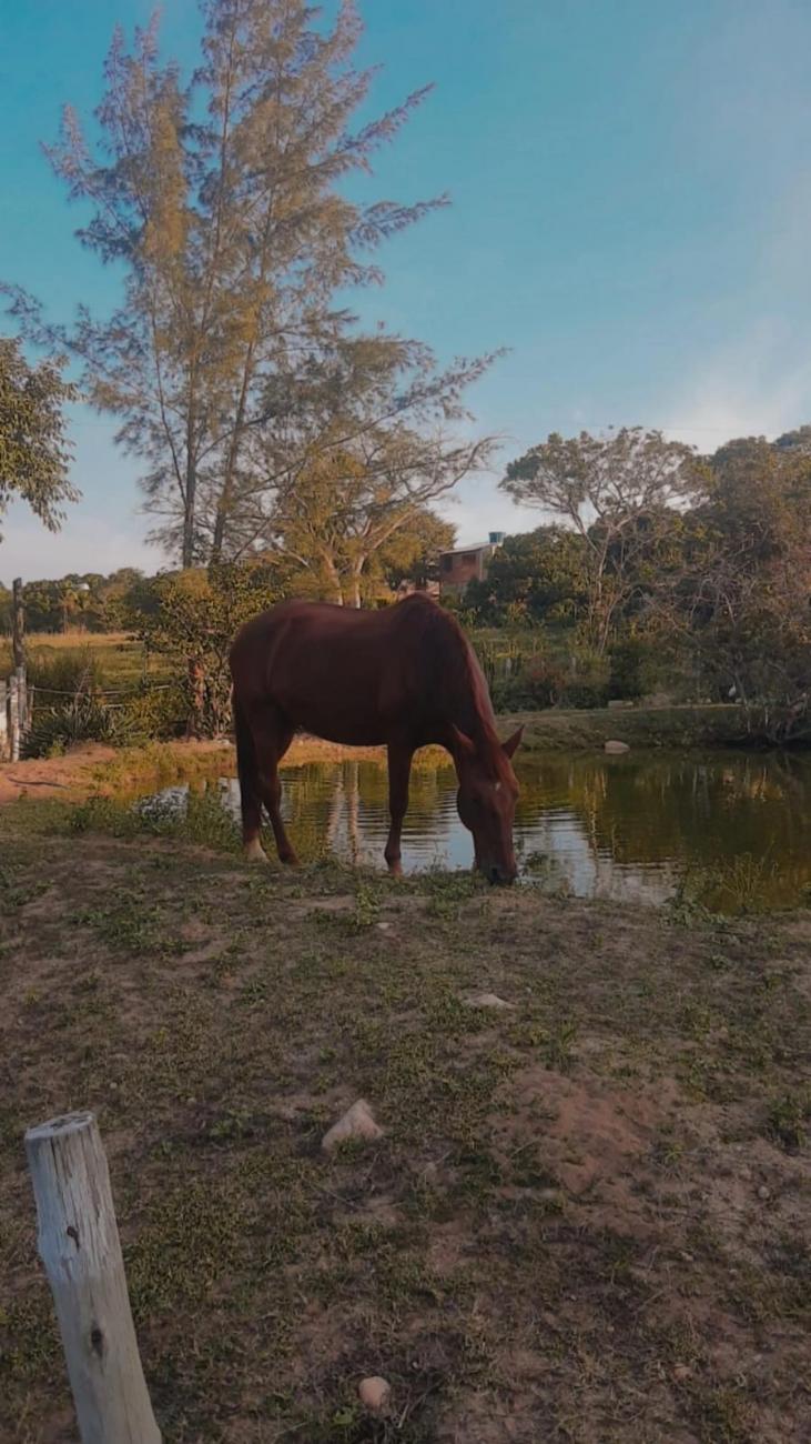 Fazenda à venda - Foto 2