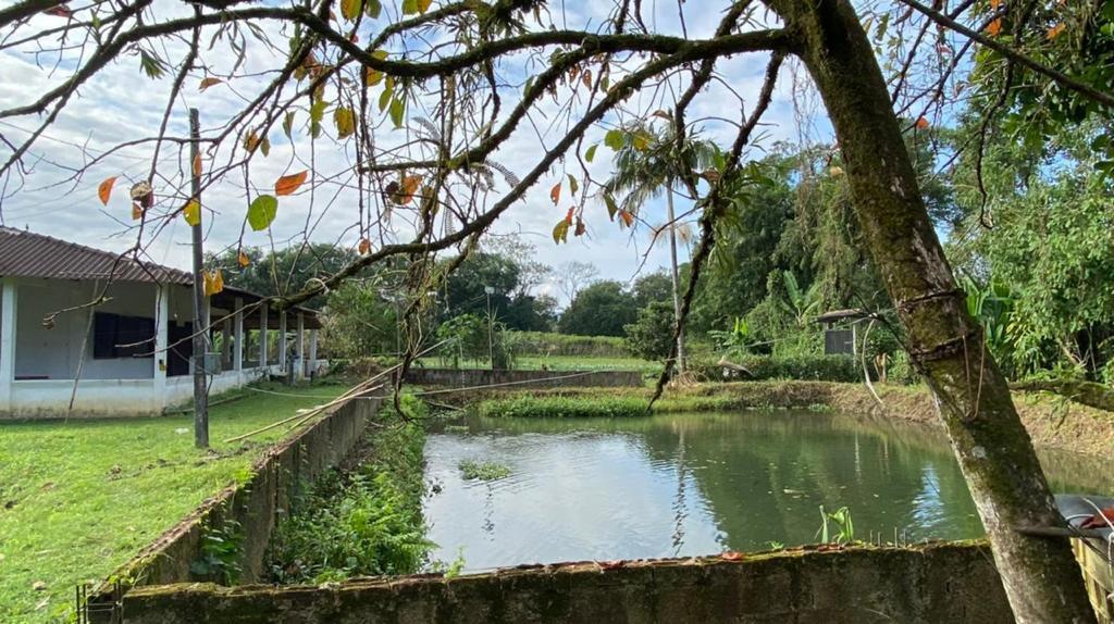Chácara à venda com 3 quartos, 12000m² - Foto 7