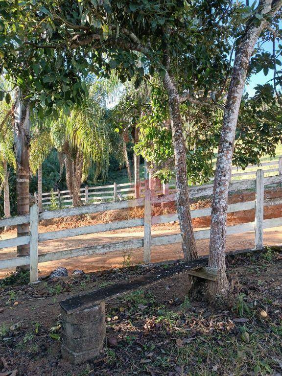 Sítio, 10 hectares - Foto 107