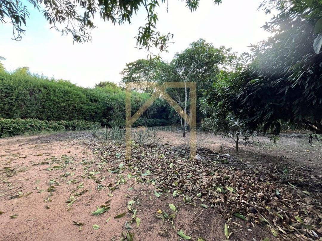 Chácara à venda com 3 quartos, 200m² - Foto 8