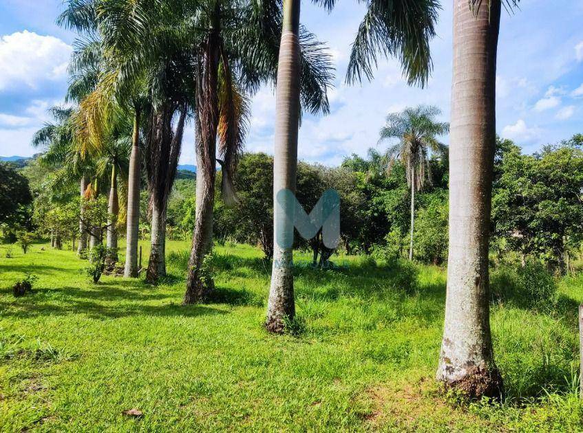 Sítio à venda com 3 quartos, 160m² - Foto 6