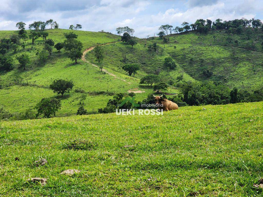 Fazenda à venda, 3872000M2 - Foto 5