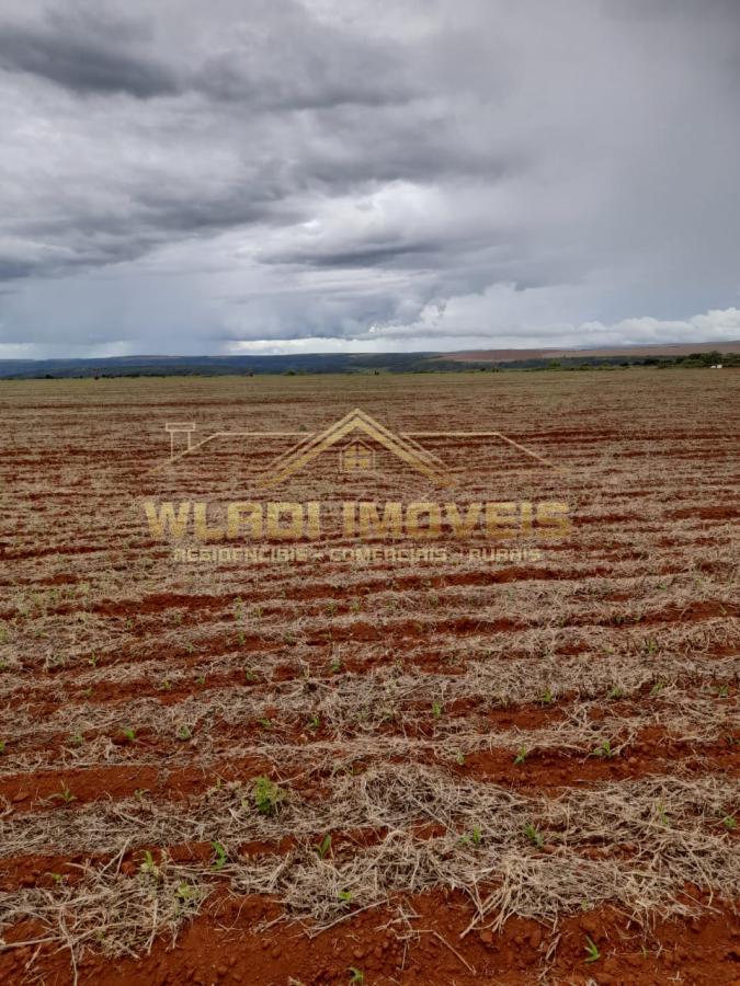 Fazenda à venda, 2222m² - Foto 3