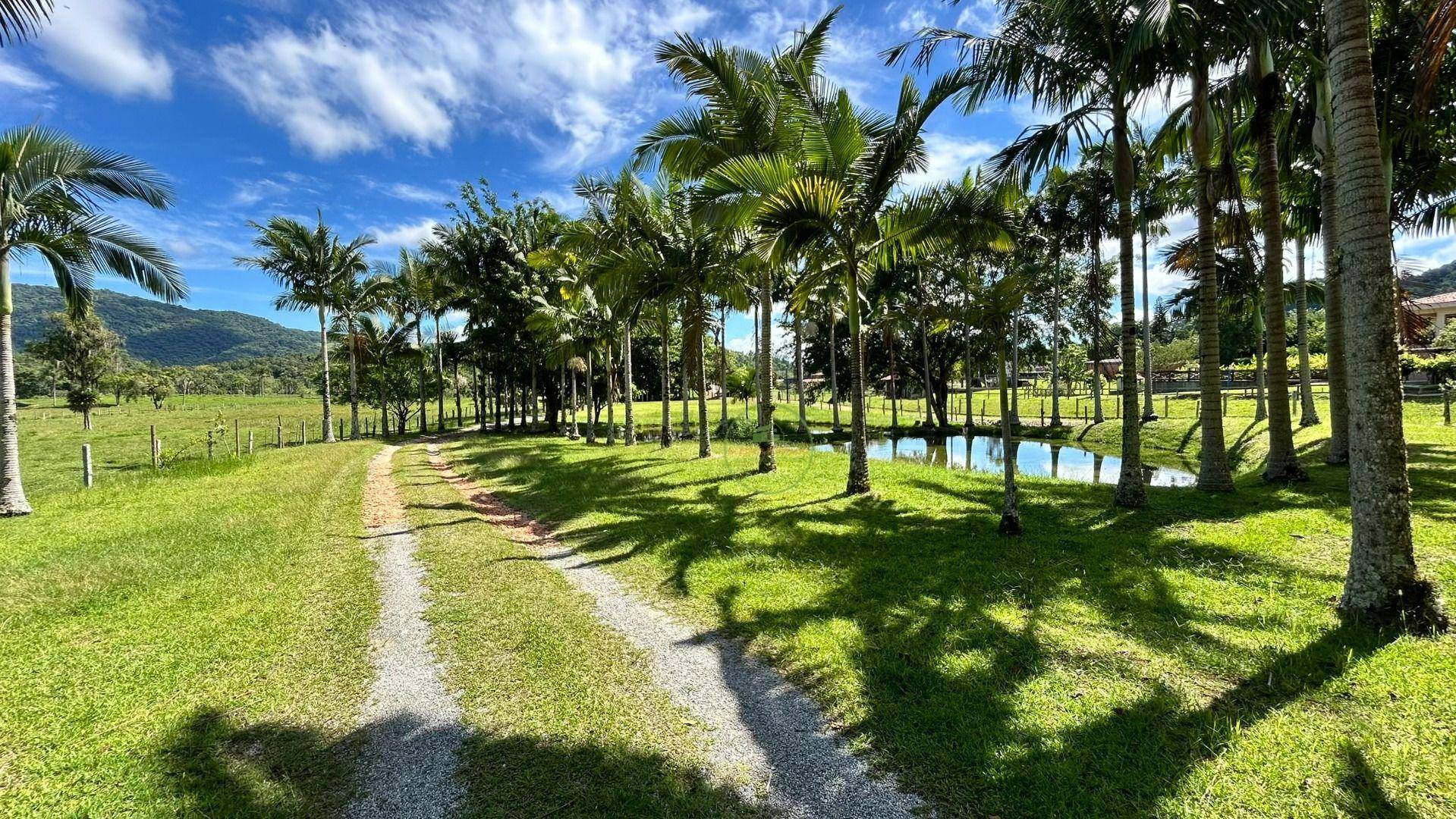 Chácara, 2 hectares - Foto 86