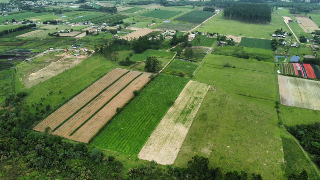 Fazenda à venda com 1 quarto, 90m² - Foto 5