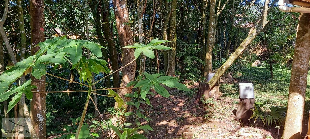 Terreno à venda, 1600m² - Foto 8