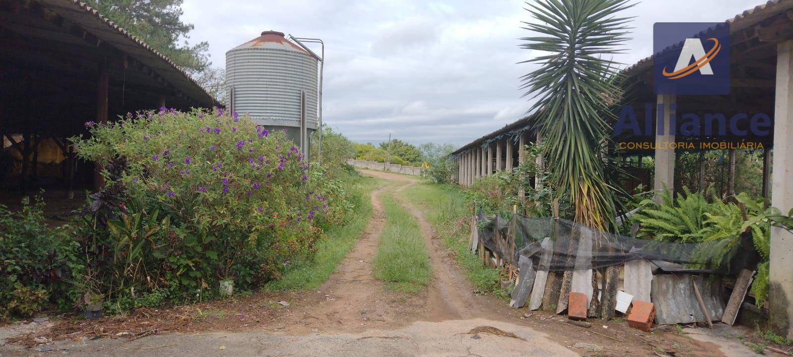 Terreno, 2 hectares - Foto 3