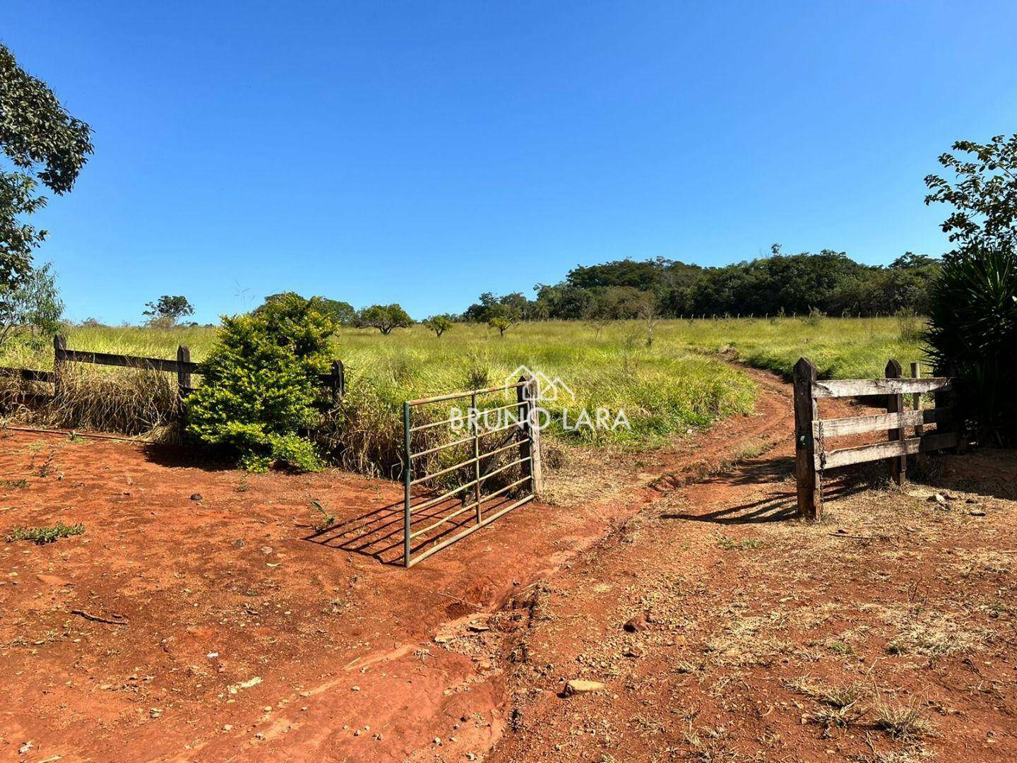 Fazenda à venda com 6 quartos, 1200m² - Foto 50