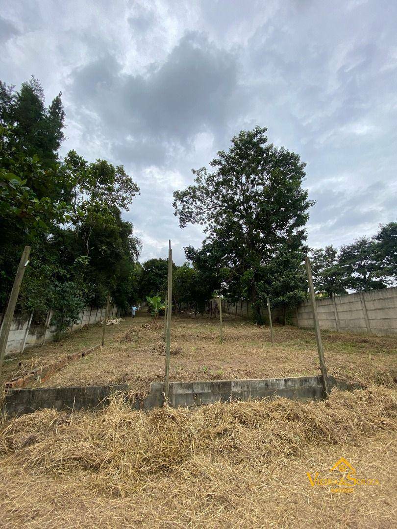 Chácara à venda com 3 quartos, 2010M2 - Foto 18