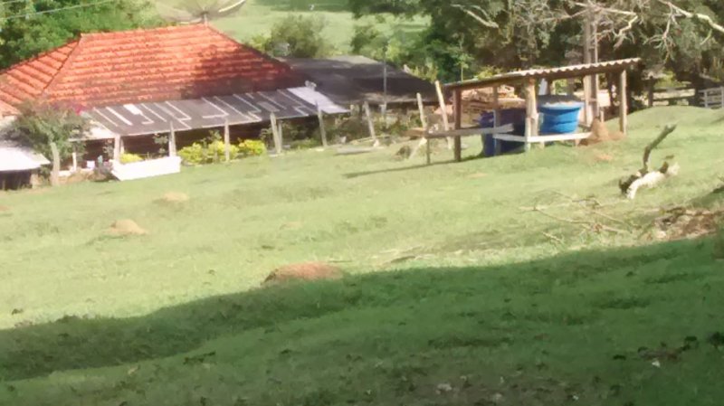 Fazenda à venda com 3 quartos, 50m² - Foto 10